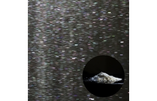 Пігмент перламутровий SL7400 20-80 біле срібло 